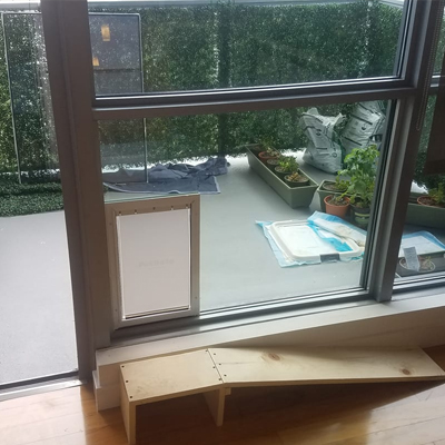 Window